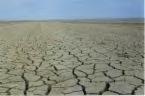 crackeddesert.jpg