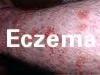 ecpic.jpg